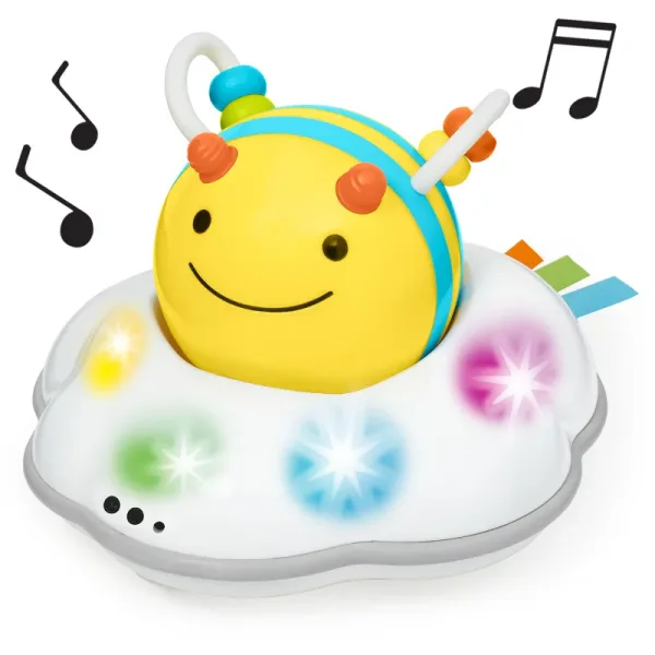 Skip Hop Explore & More Follow-Bee Crawl Toy