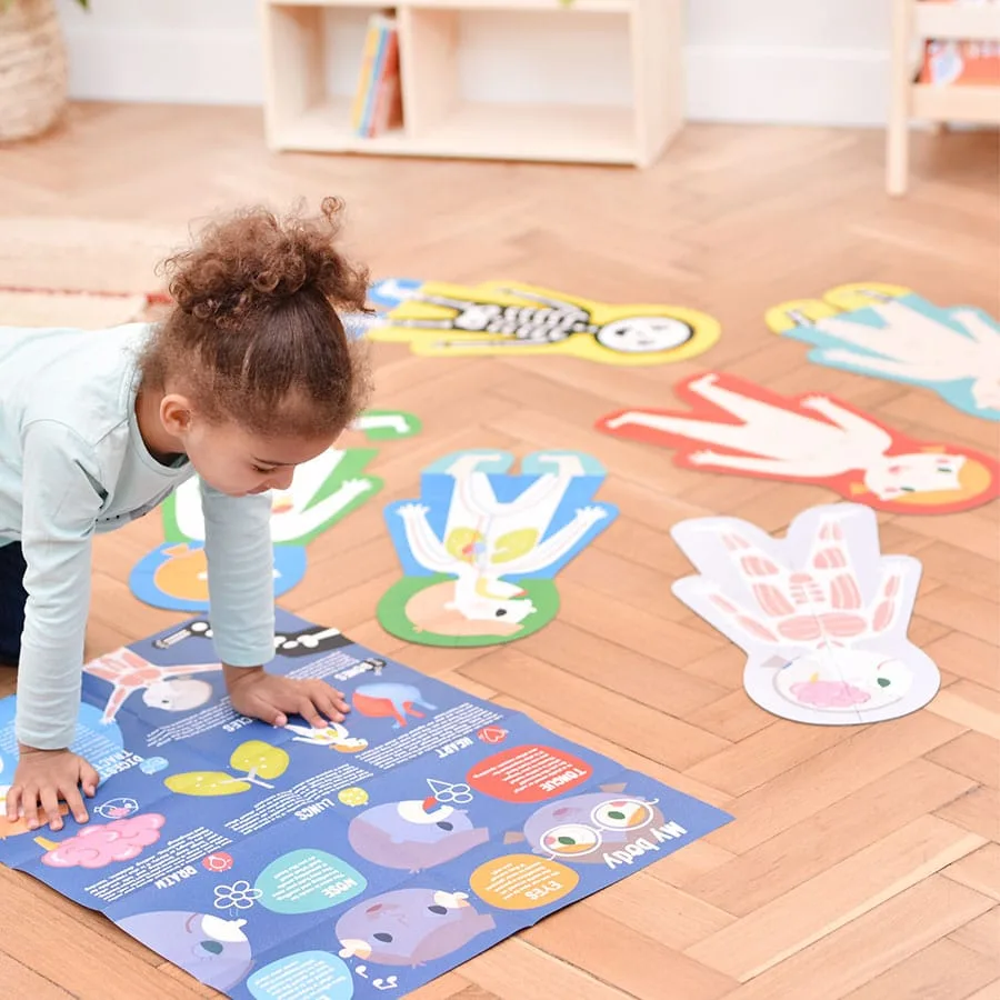 A toddler studies the accompanying anatomy poster spread across a herringbone floor beside completed