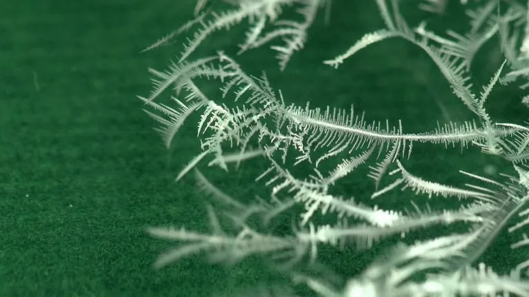 Crystal growth from a Mel kit, photographed against a darkened experimental field.