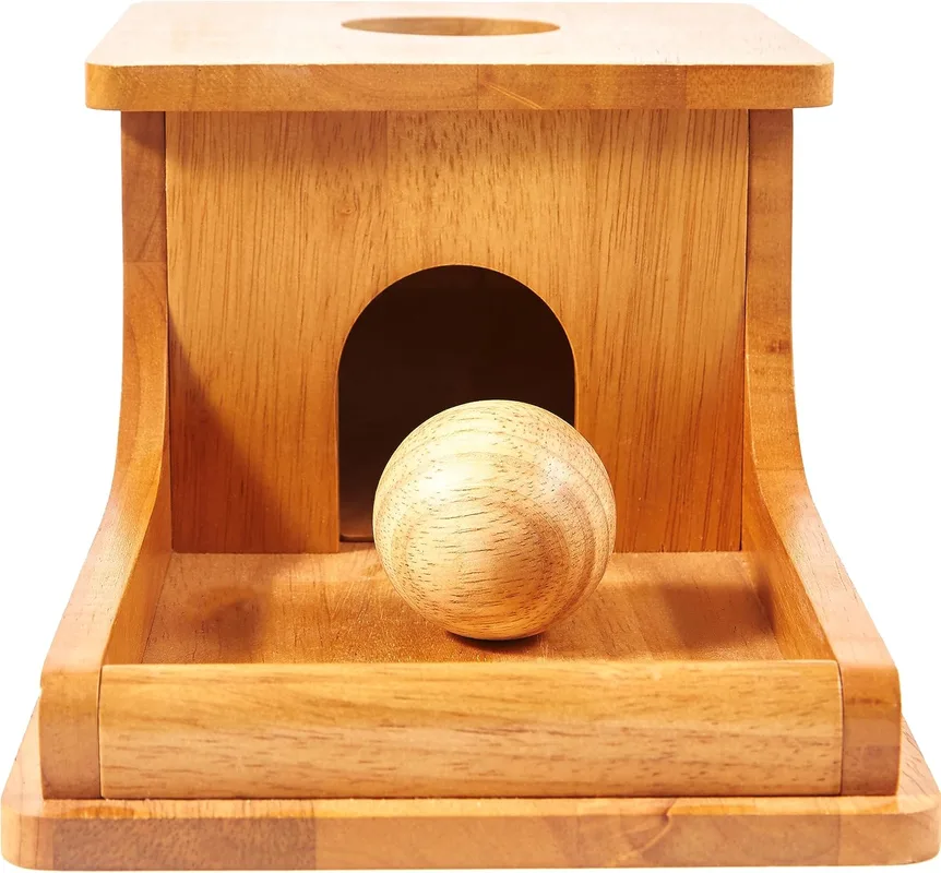 Montessori Object Permanence Box Review
