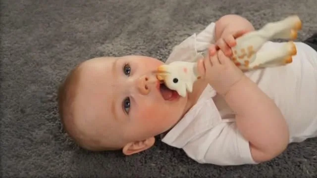 A baby gnaws Sophie's neck, the slim profile that makes the toy graspable for small hands.